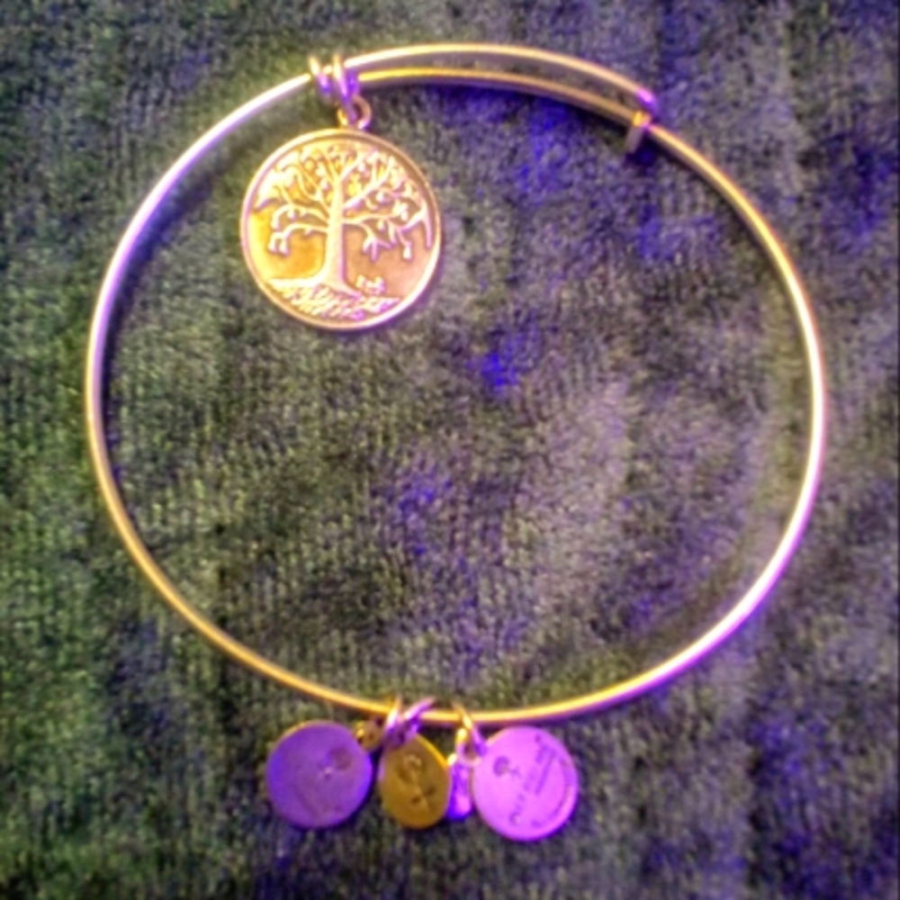 Alex and Ani RARE collective bracelet with a tree charm in silver